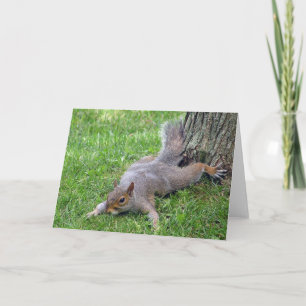 Carte Squirl Splat Greeting Card