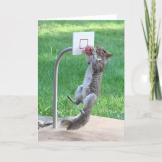 Carte Squirrel Slam Dunk