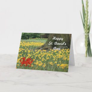 Carte St. David's Day Daffodils