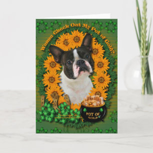 Carte St patrick - pot d'or - Boston Terrier