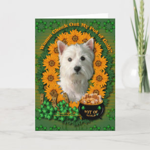 Carte St patrick - pot d'or - Terrier des montagnes