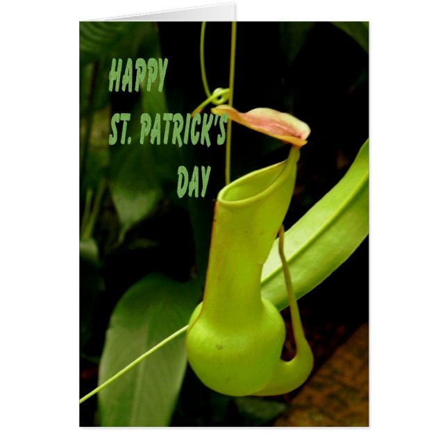 Carte St Patrick's Day avec Plante de tuyauterie v (Devant)