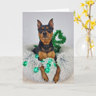 Carte St Pats MinPin