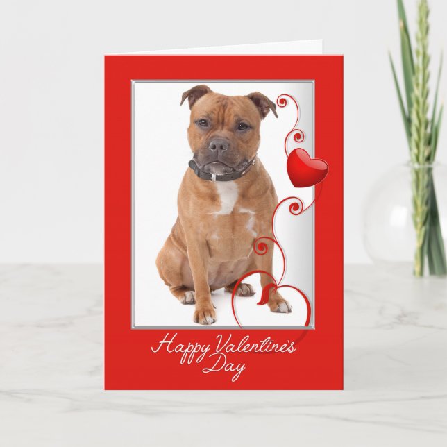 Carte Staffie Valentine's Day (Devant)