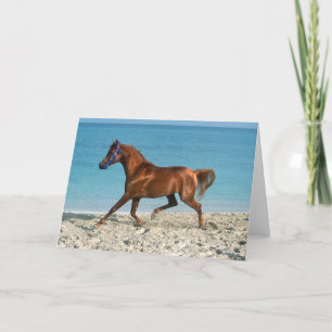 Carte Staline arabe châtaignier courir sur la plage