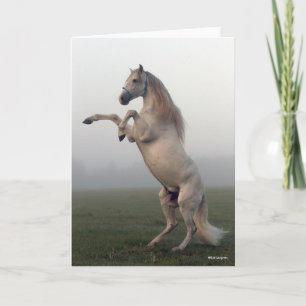 Carte Staline Lusitano Gris S'Élevant En Mist