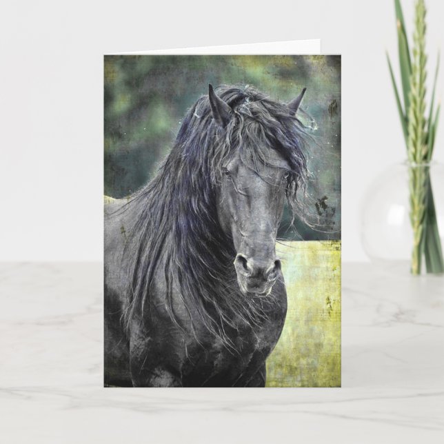 Carte Stallion friésienne (Devant)