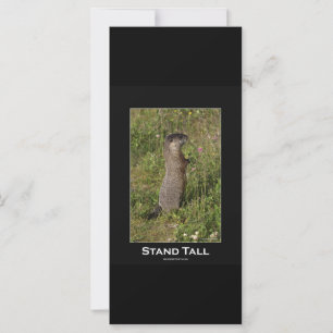 Carte Stand Tall Marmot Card