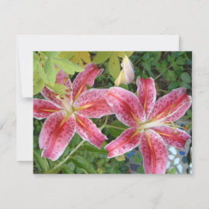 Carte Stargazer Lilies Jardin Floral