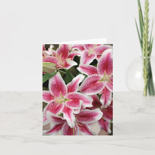 Carte Stargazer Lily Note - Vide (Devant)