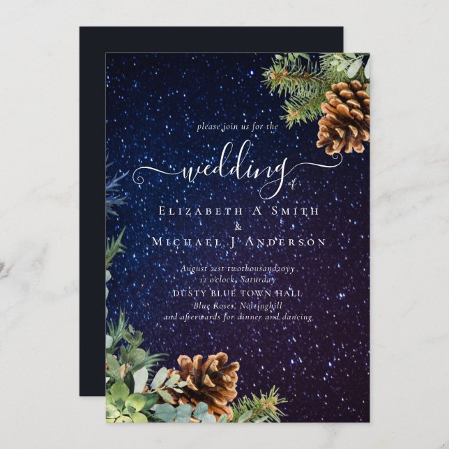 Carte Starry Night Winter Wedding Budget (Devant / Derrière)