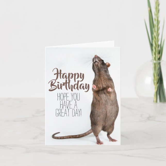 Carte Stretchy Rat Birthday Card (Devant)