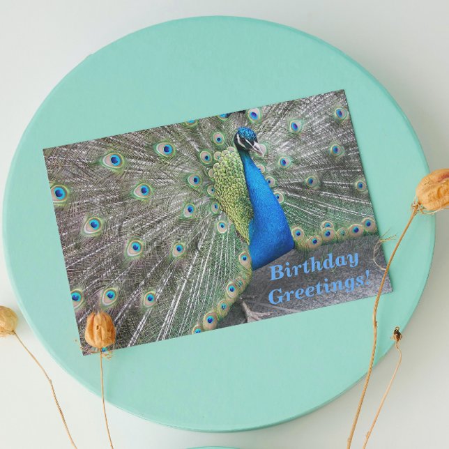 Carte Strutting Blue Peacock drôle Anniversaire (In Situ)