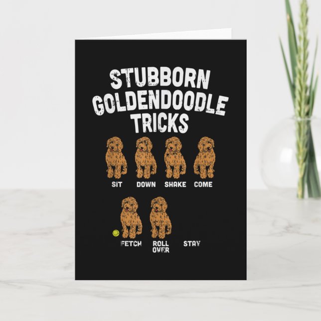 Carte Stubborn Goldendoodle Tricks Funny Dog Trainer Mam (Devant)