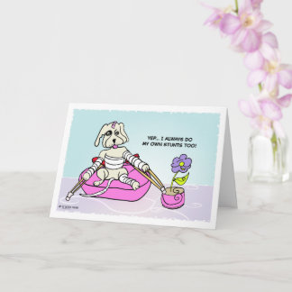 Carte Stunt Dog Get Well Card