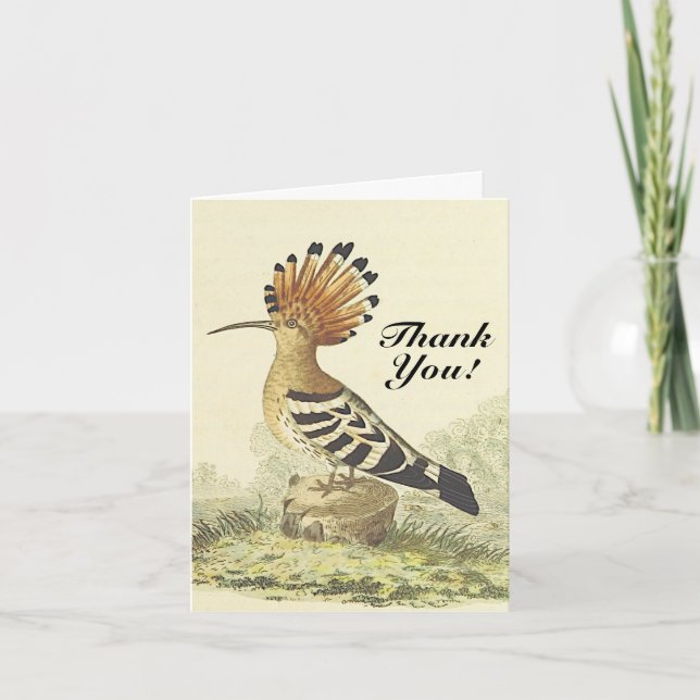 Carte Style vintage, Oiseau, "Merci !" (Devant)