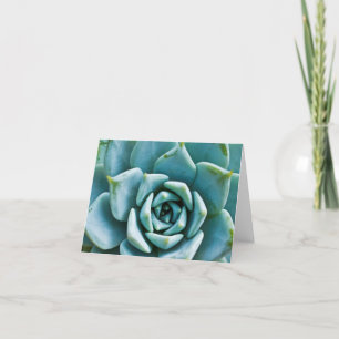 Carte Succulent