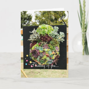 Carte Succulents décoratifs