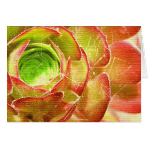 carte succulents sur le Web