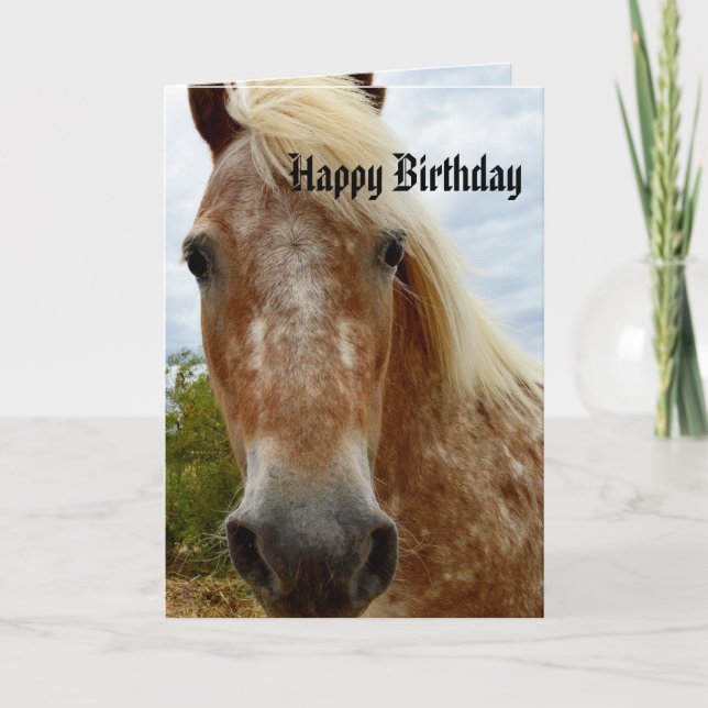 Carte Sucre L'Anniversaire Du Cheval Appaloosa (Devant)