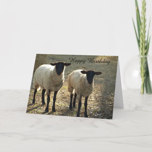Carte Suffolk Sheep Joyeux Anniversaire De nous à l'Ewe! (Devant)