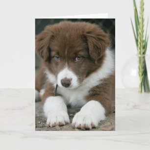 CARTE SUIS-JE "SÉRIEUSE" OUI JE SUIS À VOTRE ANNIVERSAIR