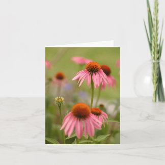 Carte Summer en Bohemia