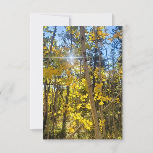 Carte Sun Aspen (Devant)