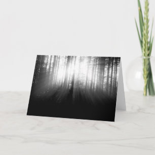 Carte Sun brillant par des arbres dans la forêt