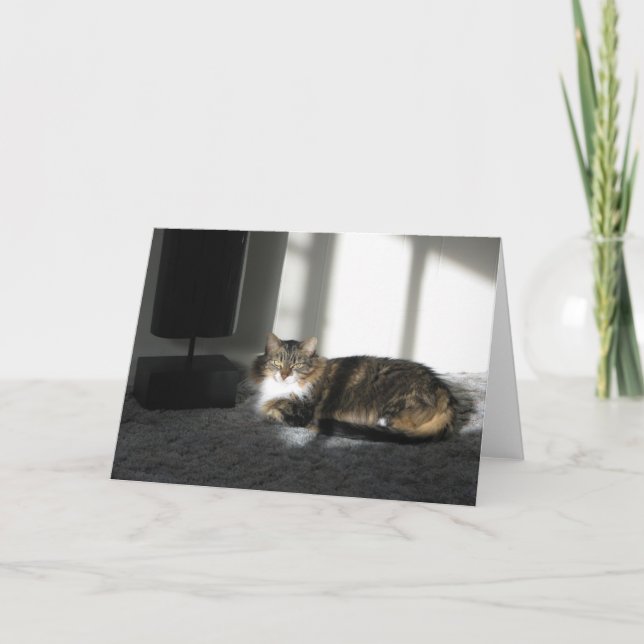 Carte Suncatcher (Devant)