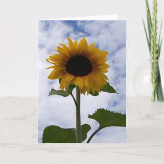 Carte Sunflower
