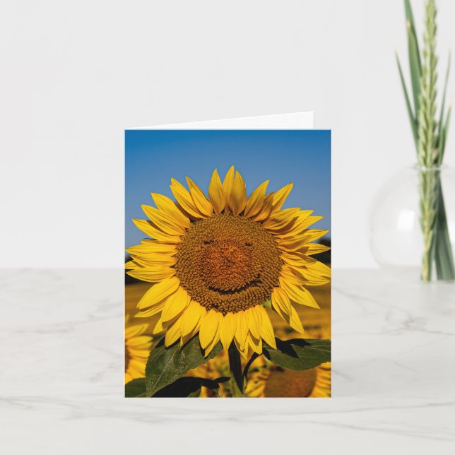 Carte Sunflower Smile (Devant)