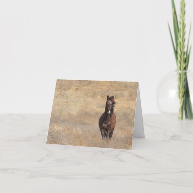 Carte Sunny Breeze (Devant)