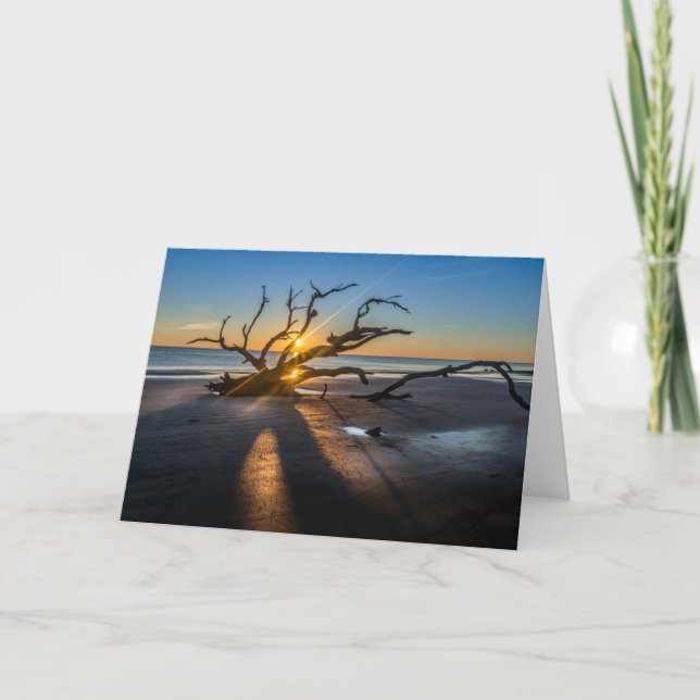 Carte Sunrise Beach Scène Avec Bois Chaud - Blanc (Devant)