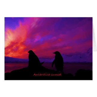 Carte Sunset Antarctique