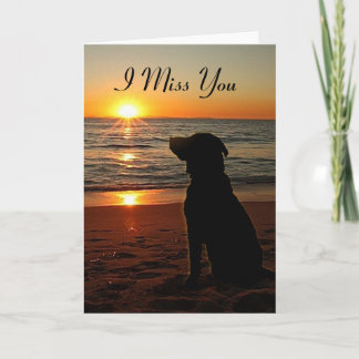 Carte Sunset Dog on Beach - Miss You Card