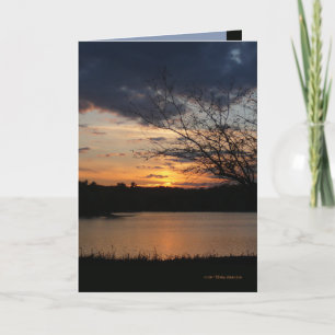Carte Sunset November 5th