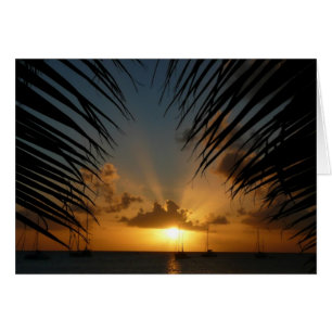 Carte Sunset Through Palm Frances