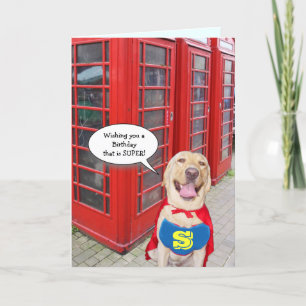 Carte Super anniversaire de chien/laboratoire drôle