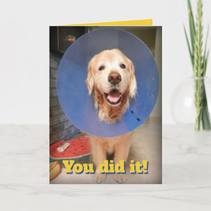 Carte Super Golden Retriever Avec Cone- Félicitations Co