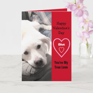 Carte Super mignon Valentine's Day Chien Chien Blanc Chi