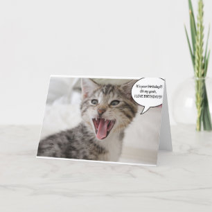 Carte Super surpris Kitten d'anniversaire!
