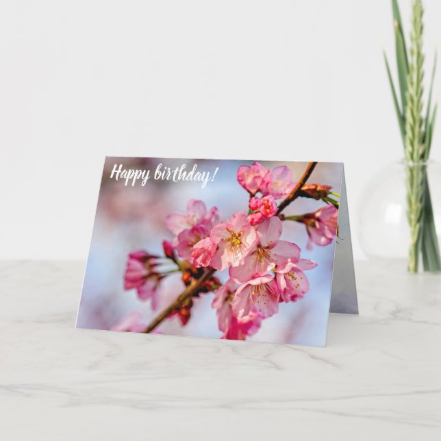 Carte Superbe Beauté Des Fleurs De Sakura Rose Au Printe (Devant)