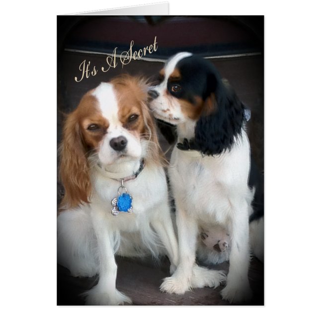 Carte Surprise Party "It's A Secret" (Devant)