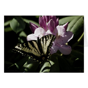 Carte Swallowtail & Rhododendron