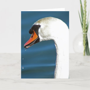 Carte Swan