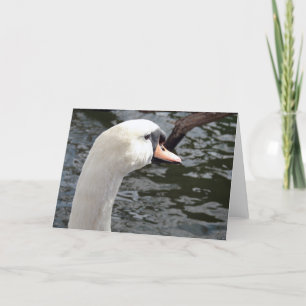 Carte Swan