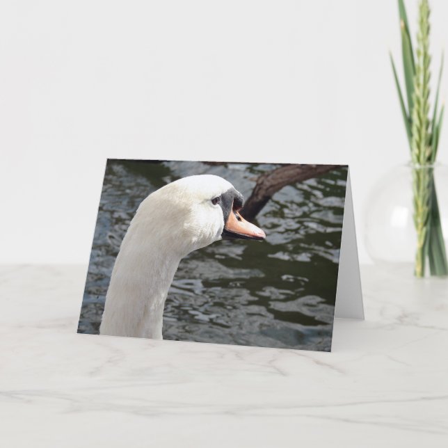 Carte Swan (Devant)