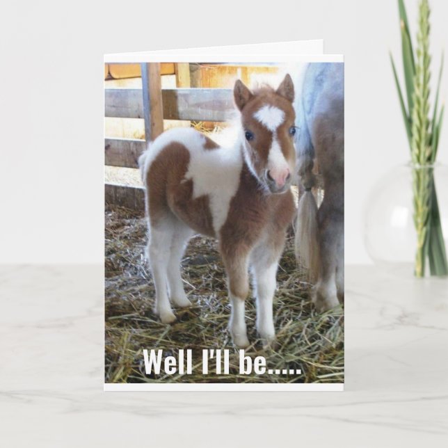Carte SWEEEET DONKEY DIT HEUREUX 30ème ANNIVERSAIRE ! Ca (Devant)