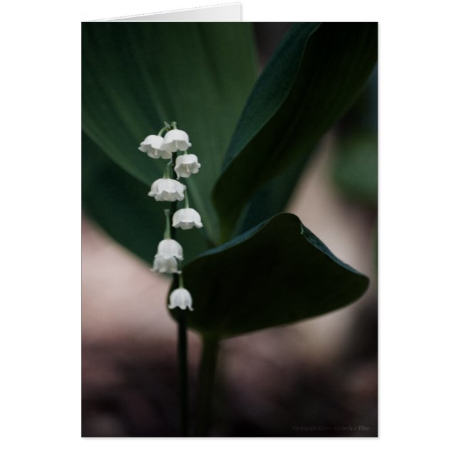 Carte Sweet Bells (Devant)